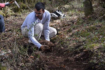 Hiking trails development