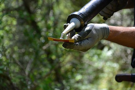 Hiking trails development