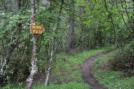 Hiking trails development