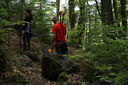 Hiking trails development