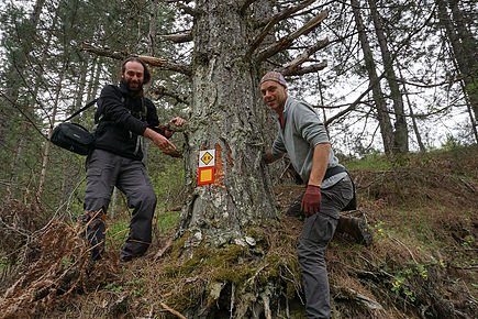 Hiking network development