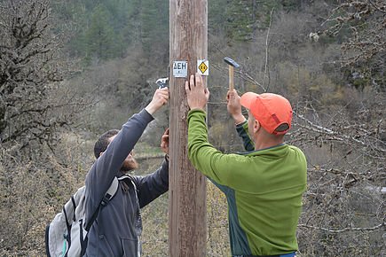 Hiking network development