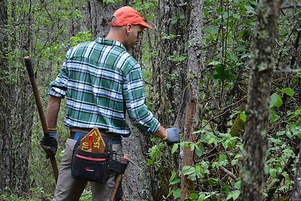 Hiking network development