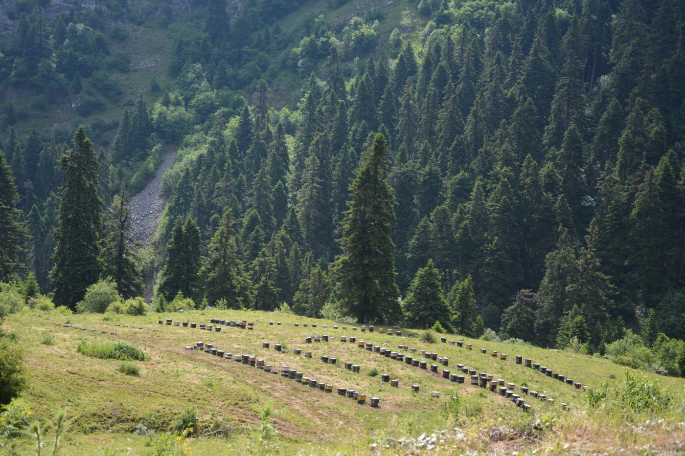 2 day trekking excursion / Peristeri mt / Central Pindos