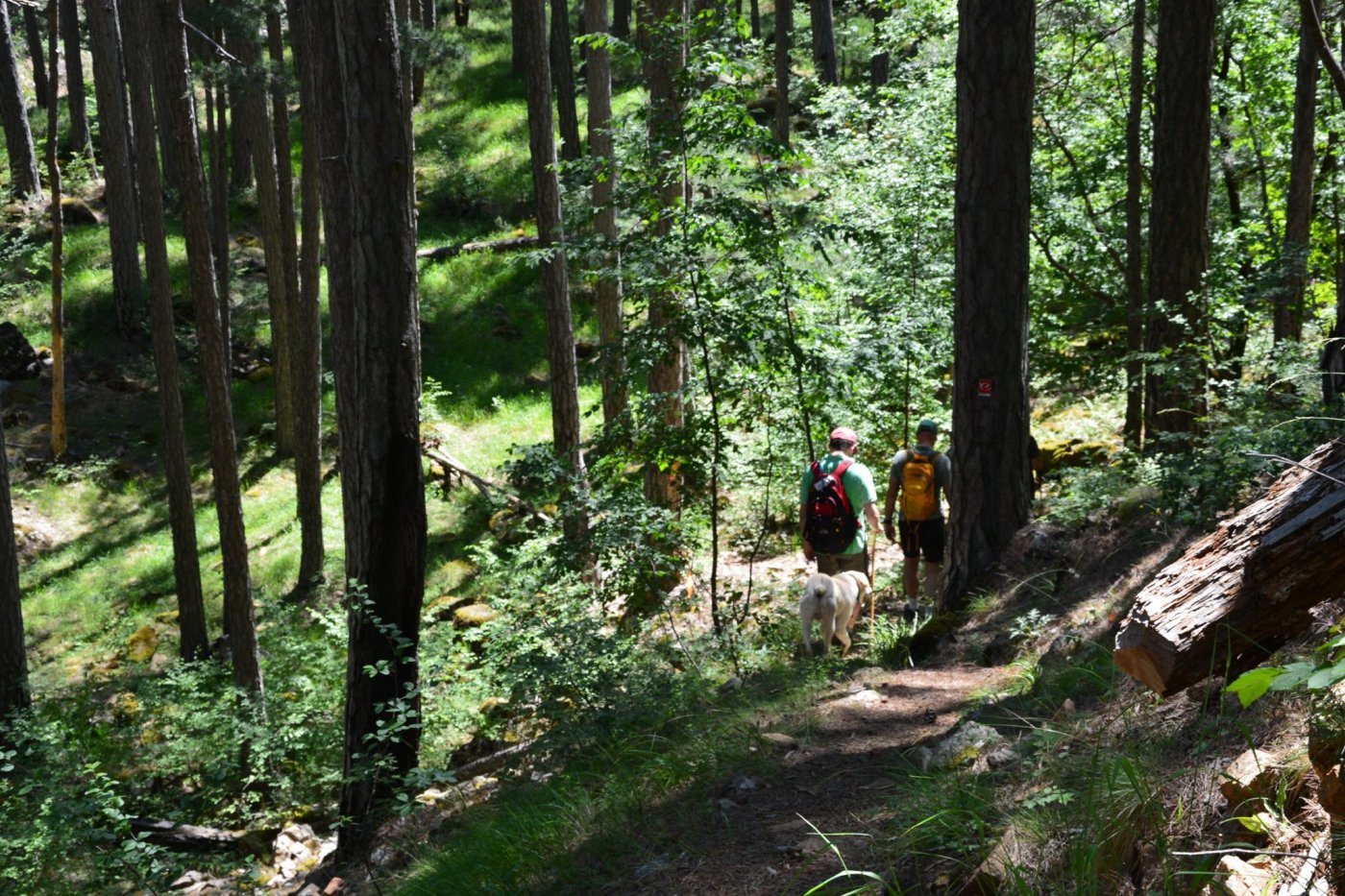 Hiking Valia Calda / North Pindos