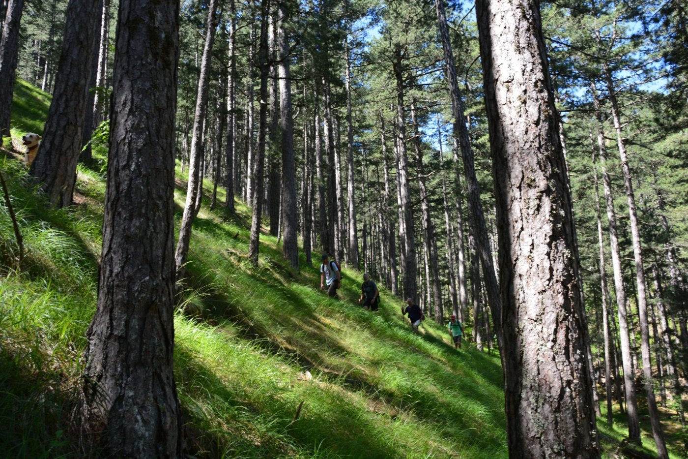 Hiking Valia Calda / North Pindos