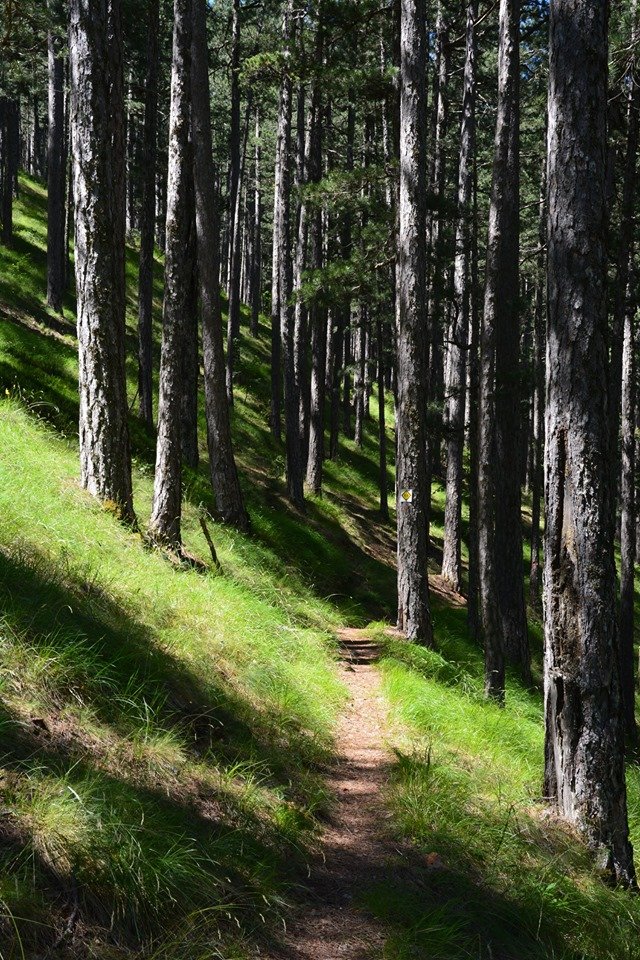 Hiking Valia Calda / North Pindos