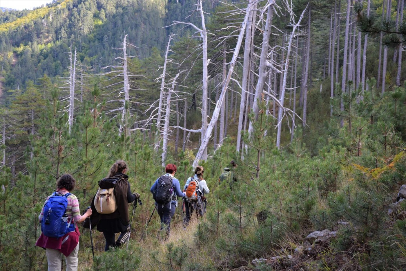 4 day trekking excursion / Valia Calda - Smolikas mt. >80km / North Pindos