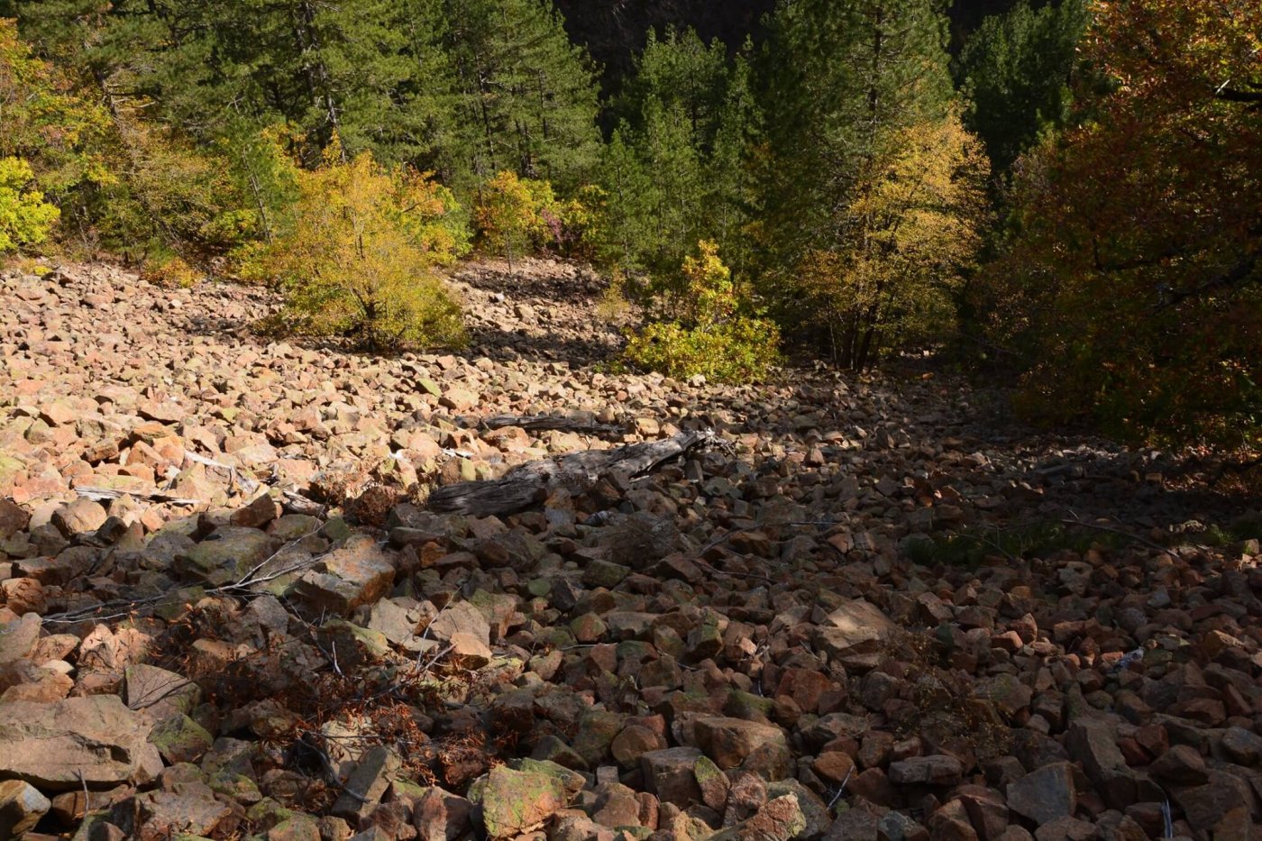 4 day trekking excursion / Valia Calda - Smolikas mt. >80km / North Pindos