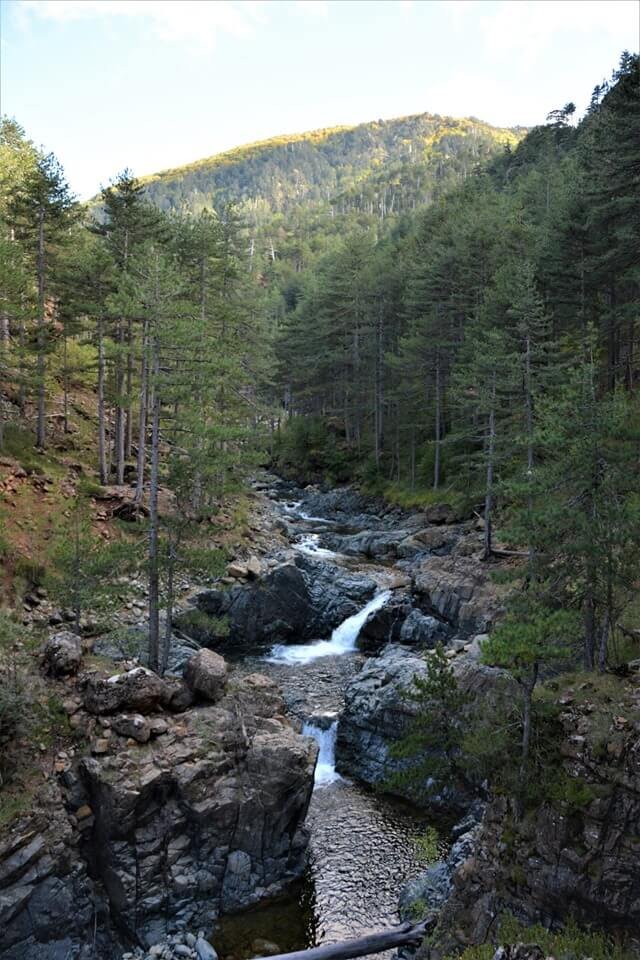 4 day trekking excursion / Valia Calda - Smolikas mt. >80km / North Pindos