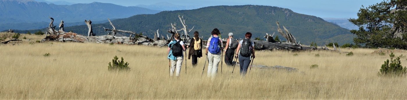 4 day trekking excursion / Valia Calda - Smolikas mt. >80km / North Pindos