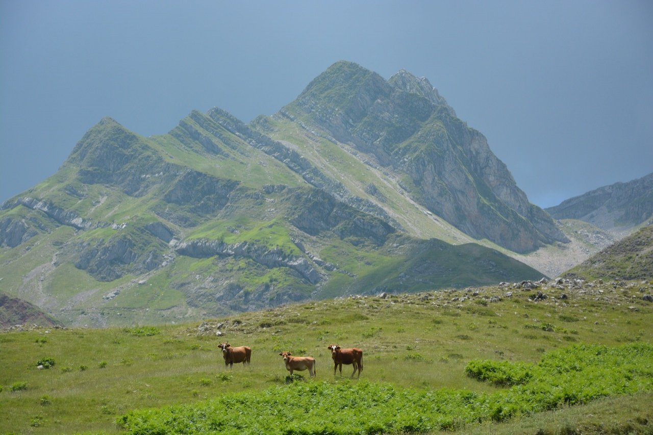 6day trekking / Tzoumerka - Kakarditsa - Peristeri mt. > 100km / Central Pindos