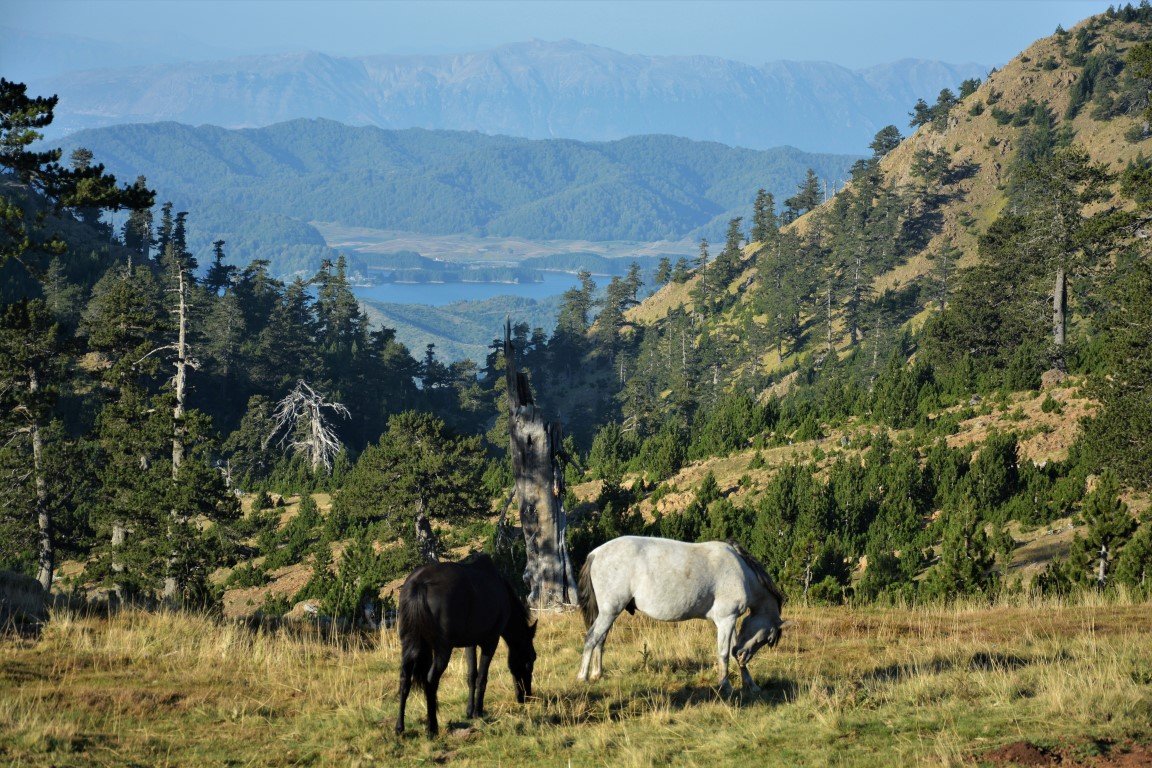 5 day trek / North Pindos / Metsovo - Valia Calda - Smolikas > 95km