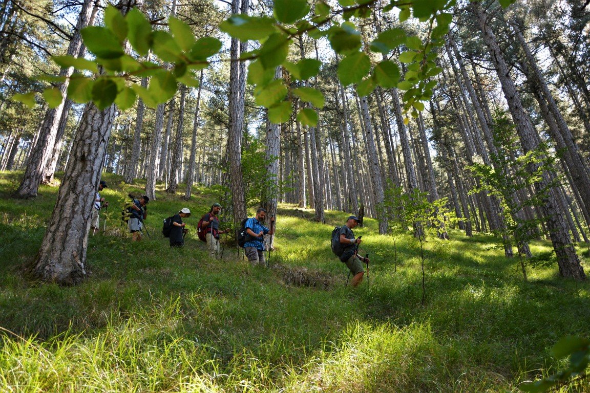 5 day trek / North Pindos / Metsovo - Valia Calda - Smolikas > 95km