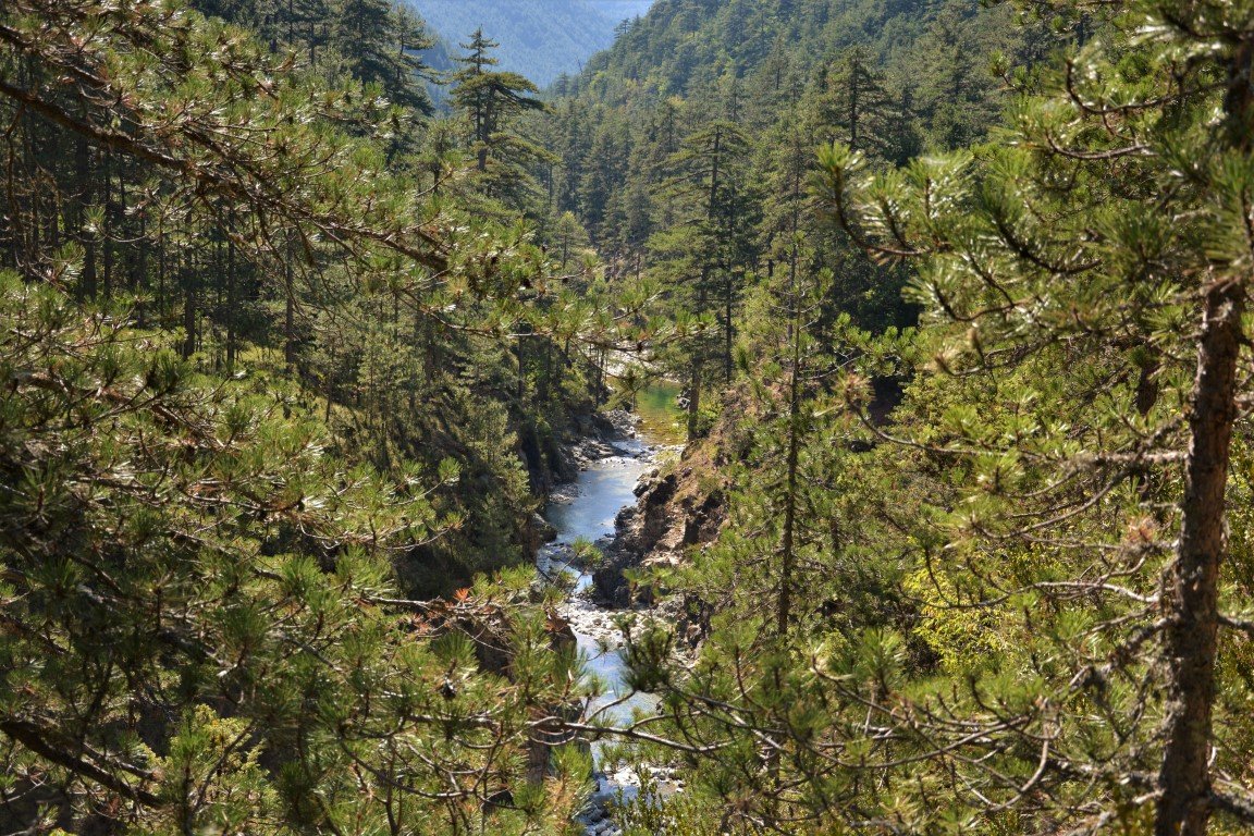 5 day trek / North Pindos / Metsovo - Valia Calda - Smolikas > 95km