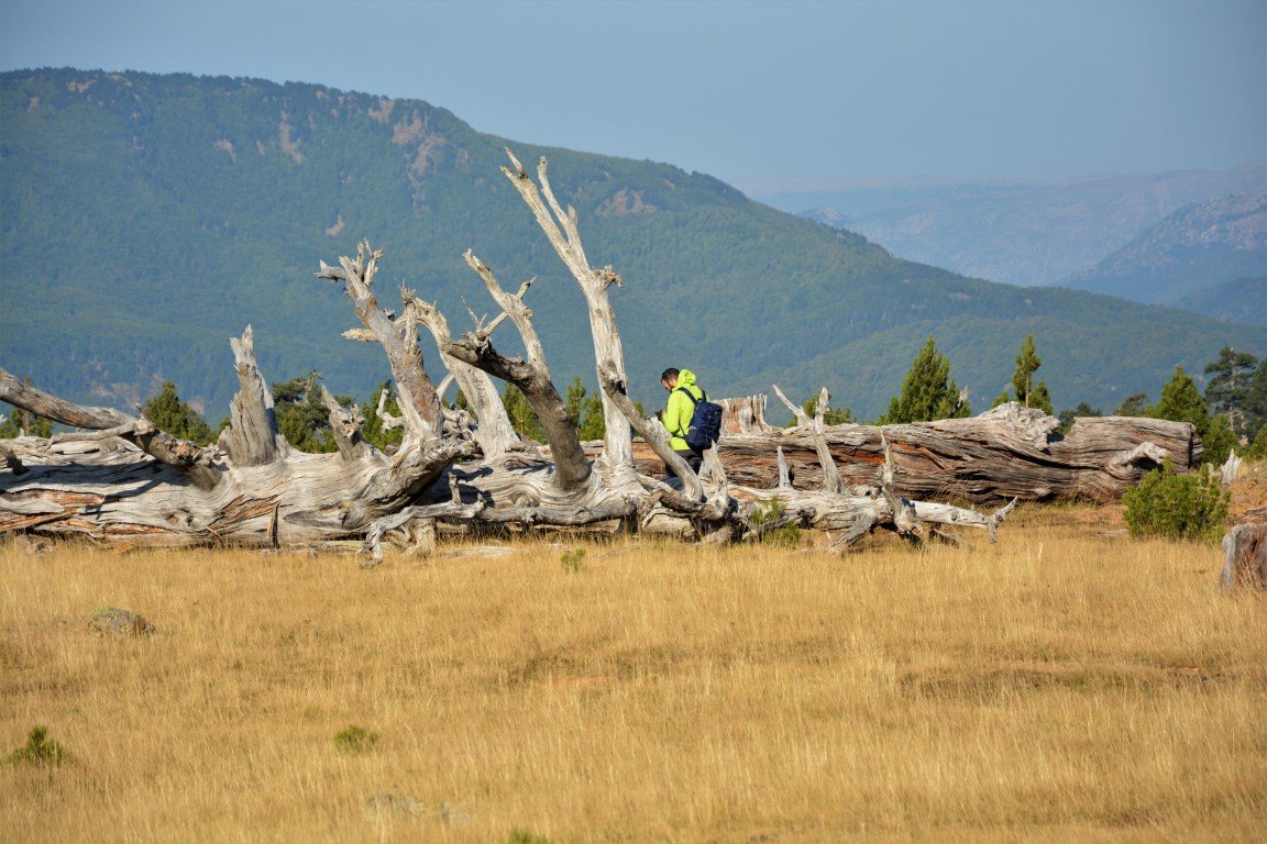 5 day trek / North Pindos / Metsovo - Valia Calda - Smolikas > 95km