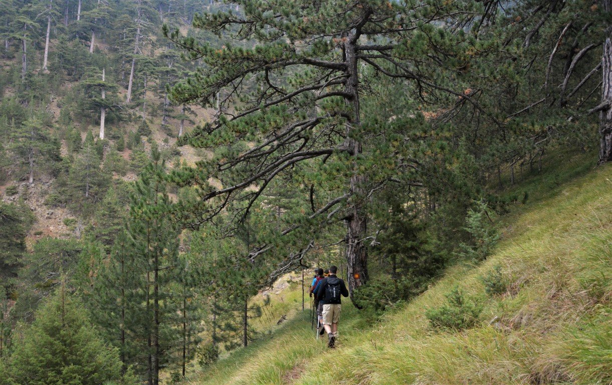 5 day trek / North Pindos / Metsovo - Valia Calda - Smolikas > 95km