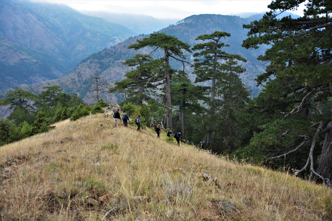 5 day trek / North Pindos / Metsovo - Valia Calda - Smolikas > 95km