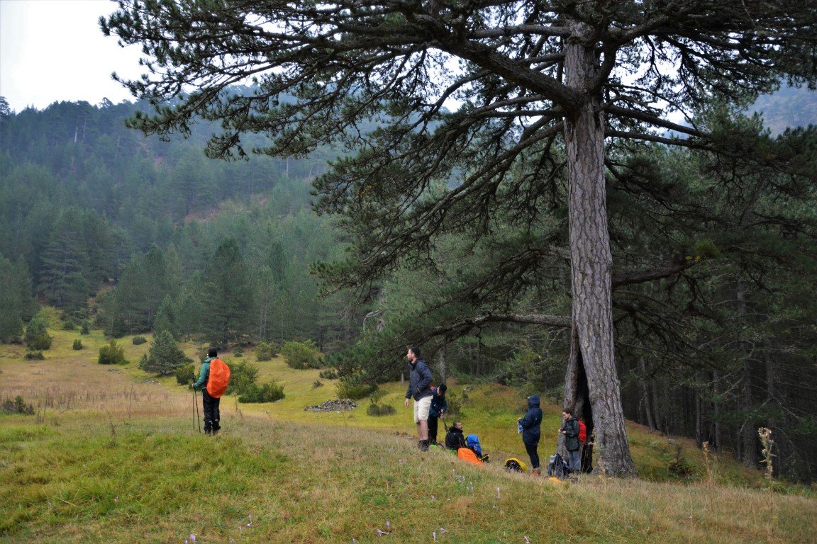 5 day trek / North Pindos / Metsovo - Valia Calda - Smolikas > 95km