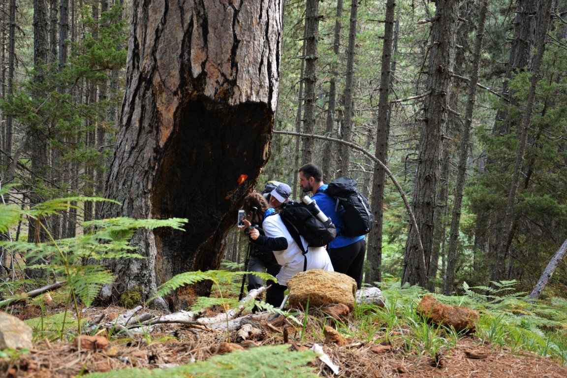 5 day trek / North Pindos / Metsovo - Valia Calda - Smolikas > 95km