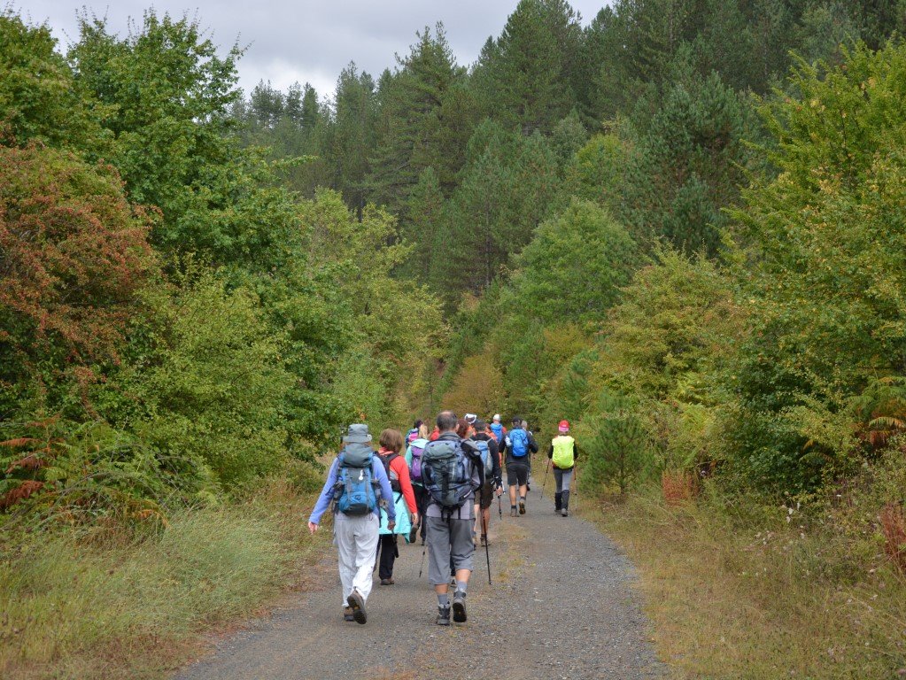 2 day forest hike / North Pindos / Vovousa to Samarina > 30km