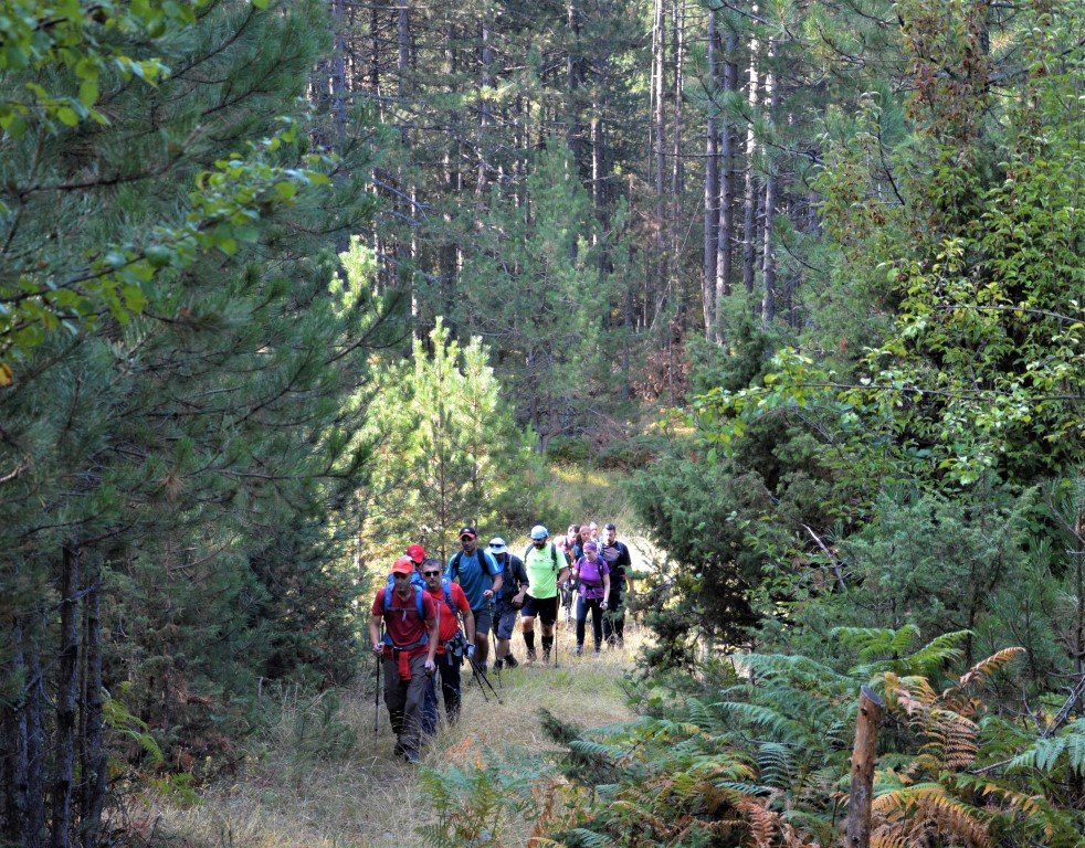 2 day forest hike / North Pindos / Vovousa to Samarina > 30km