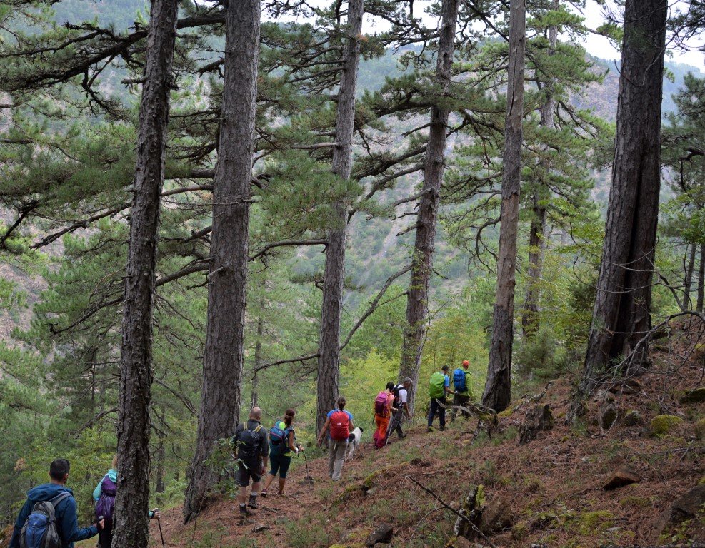 2 day forest hike / North Pindos / Vovousa to Samarina > 30km