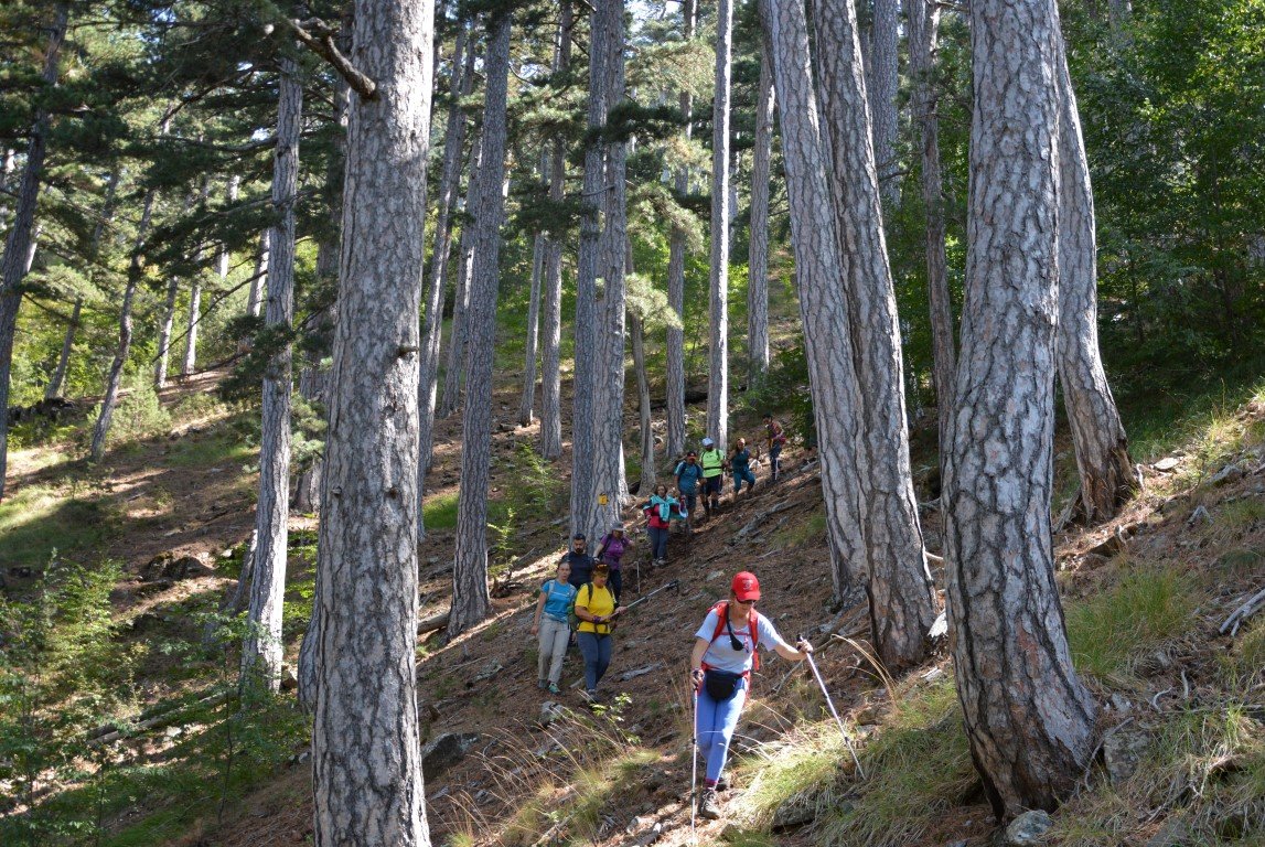 2 day forest hike / North Pindos / Vovousa to Samarina > 30km