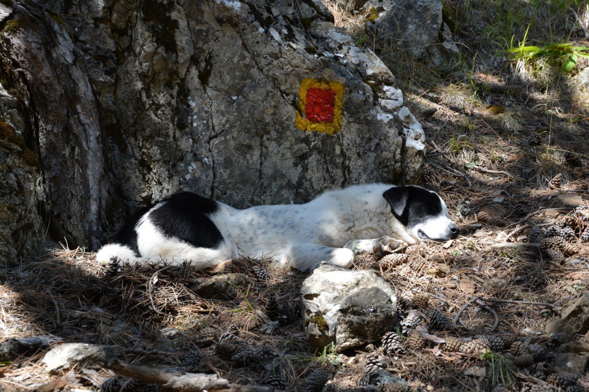 2 day forest hike / North Pindos / Vovousa to Samarina > 30km