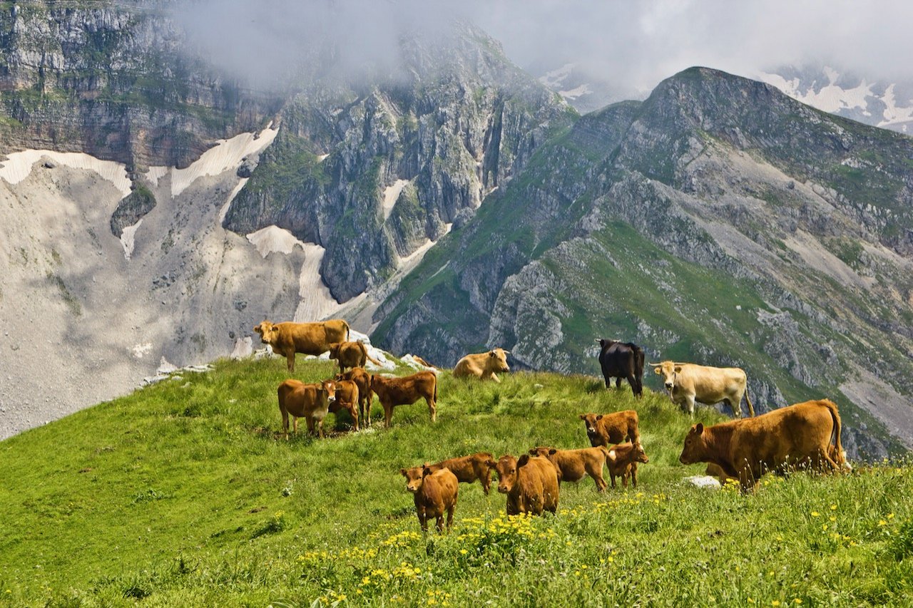 5 day trekking / Tzoumerka - Kakarditsa - Peristeri > 60km / Central Pindos