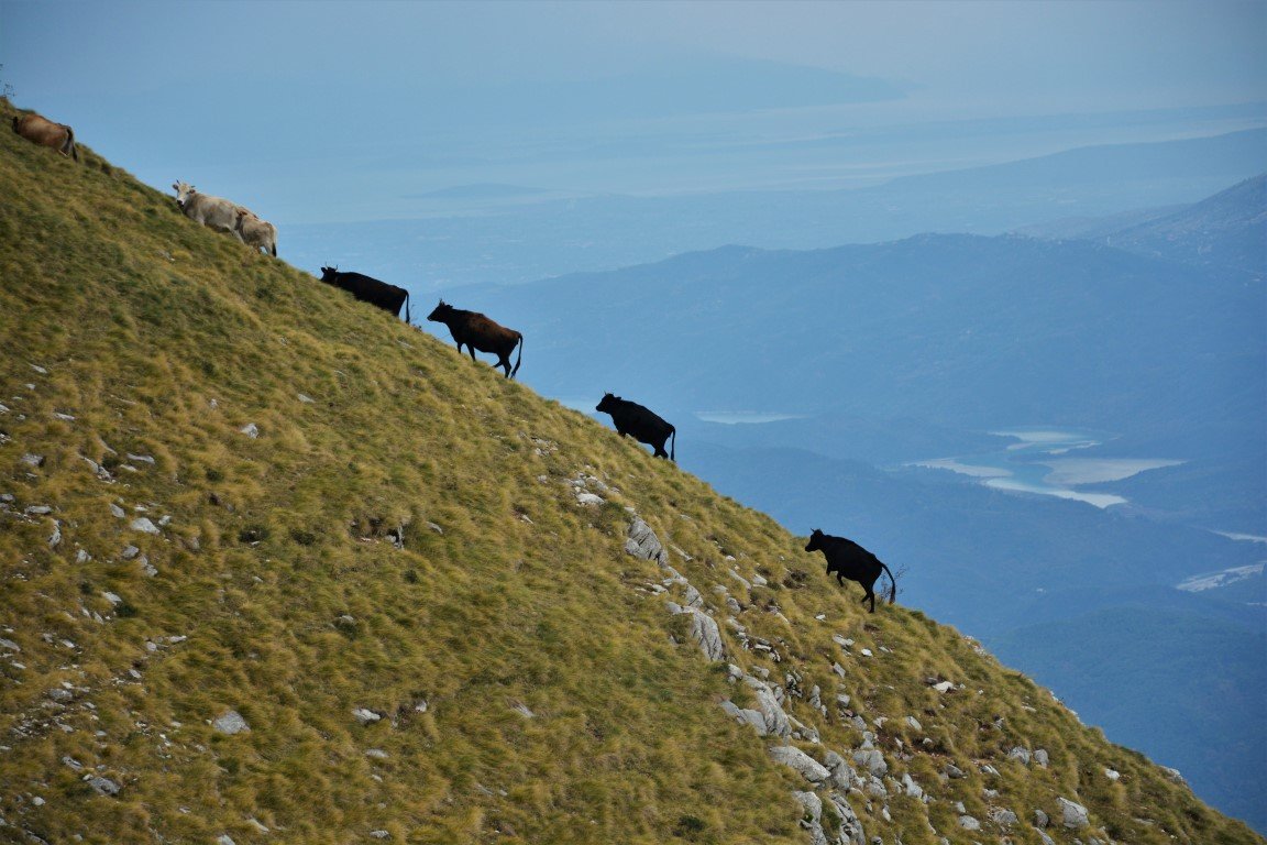 5day trekking excursion / Tzoumerka to Peristeri mt. > 85km / Central Pindos 