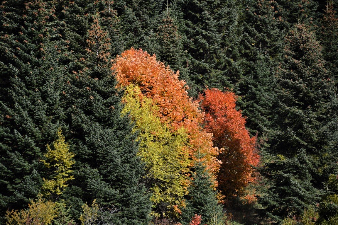 5day trekking excursion / Tzoumerka to Peristeri mt. > 85km / Central Pindos 