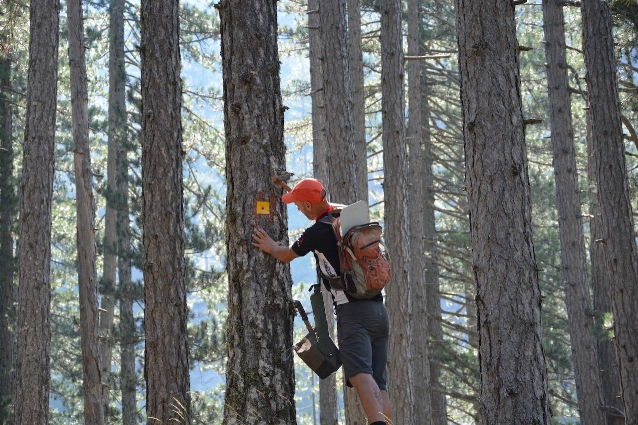 Hiking trails development