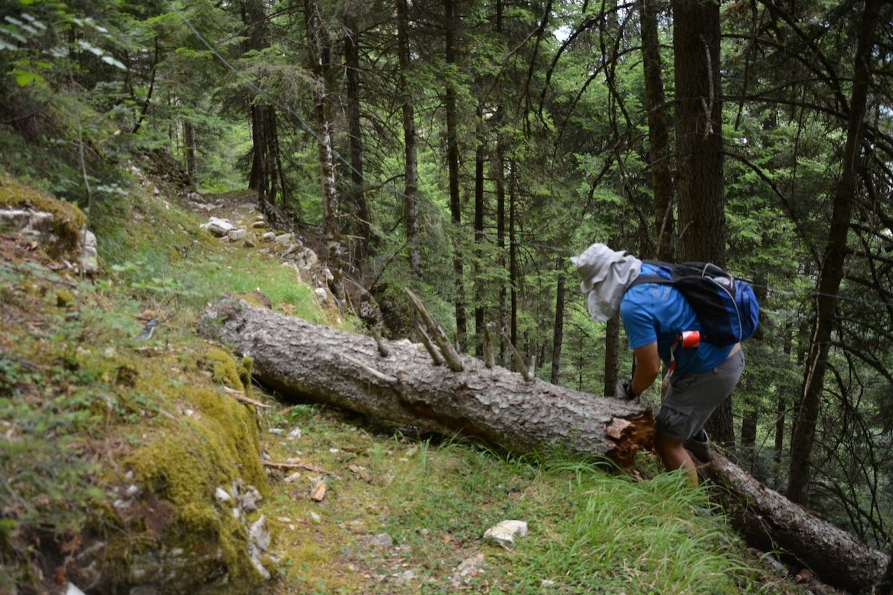 Hiking trails development