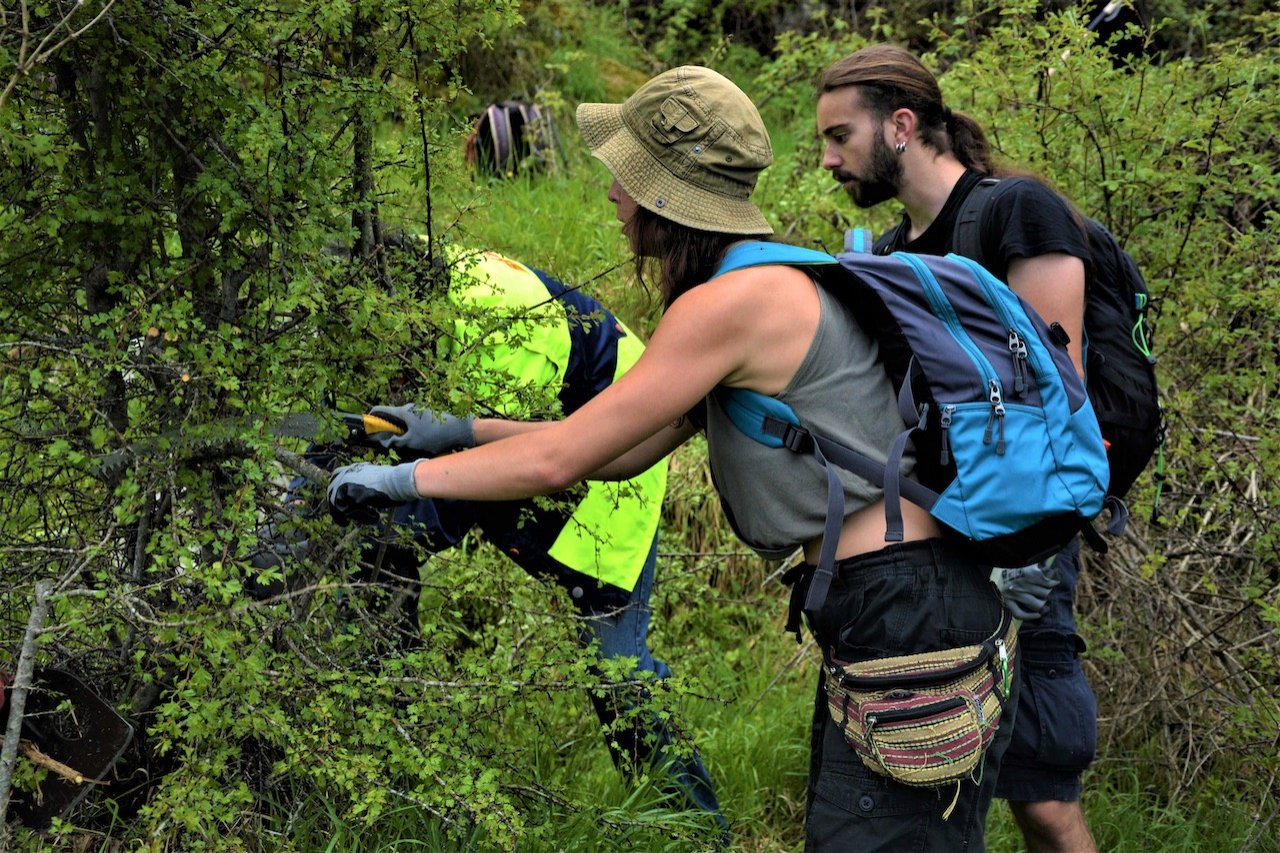 Hiking trails development