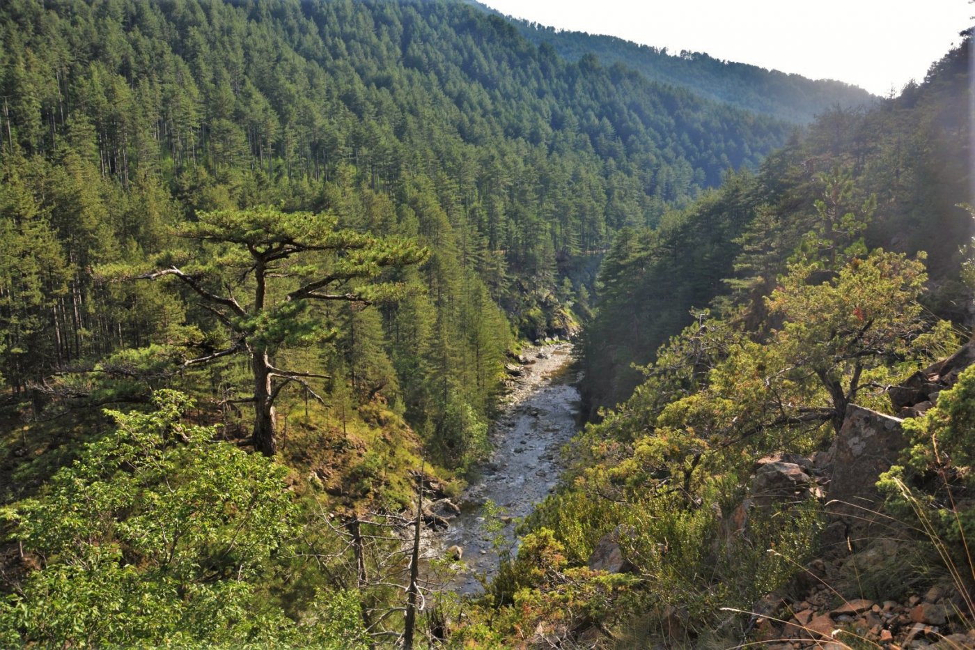 Hiking Valia Calda / North Pindos