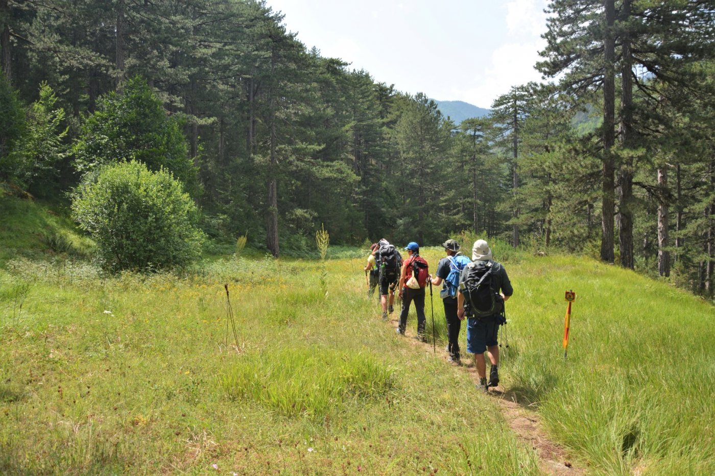 Hiking Valia Calda / North Pindos