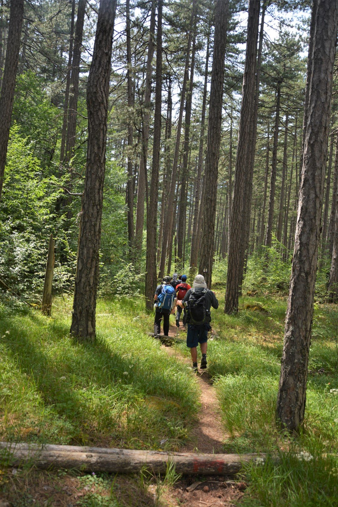 Hiking Valia Calda / North Pindos