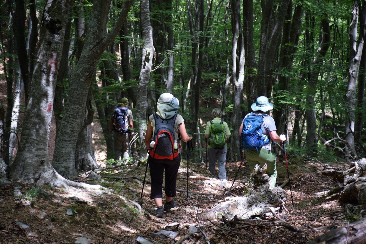 Pelion / 4day hiking excursion