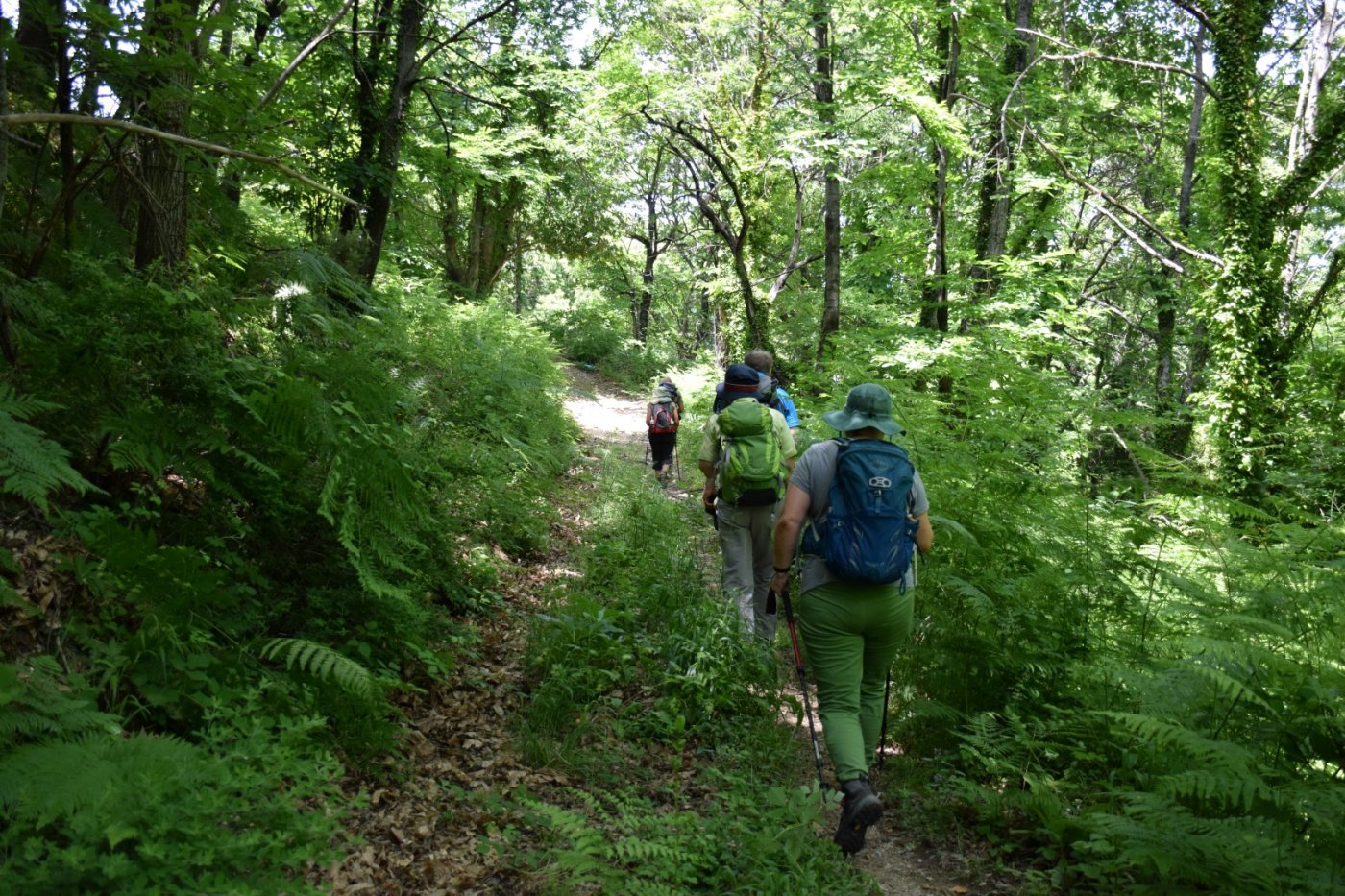 Pelion / 4day hiking excursion