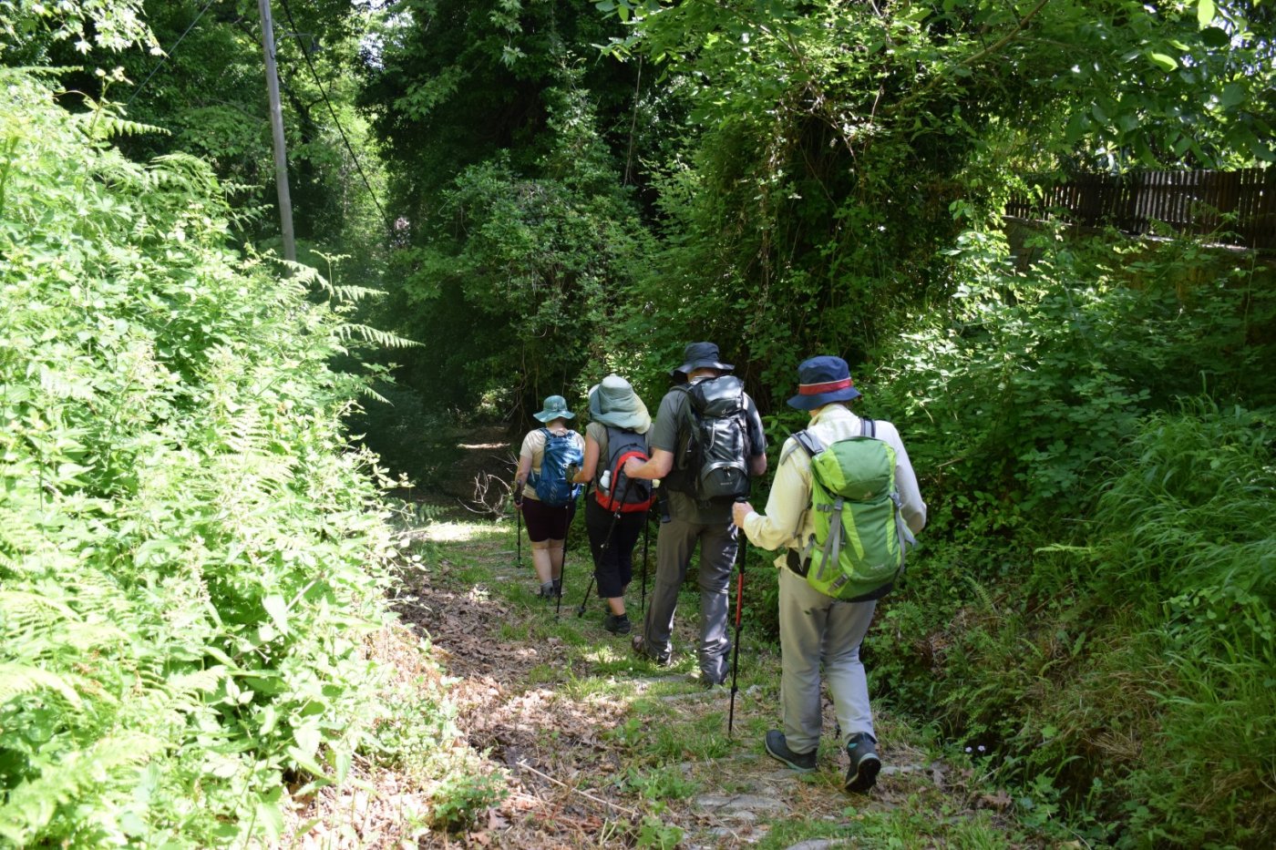 Pelion / 4day hiking excursion