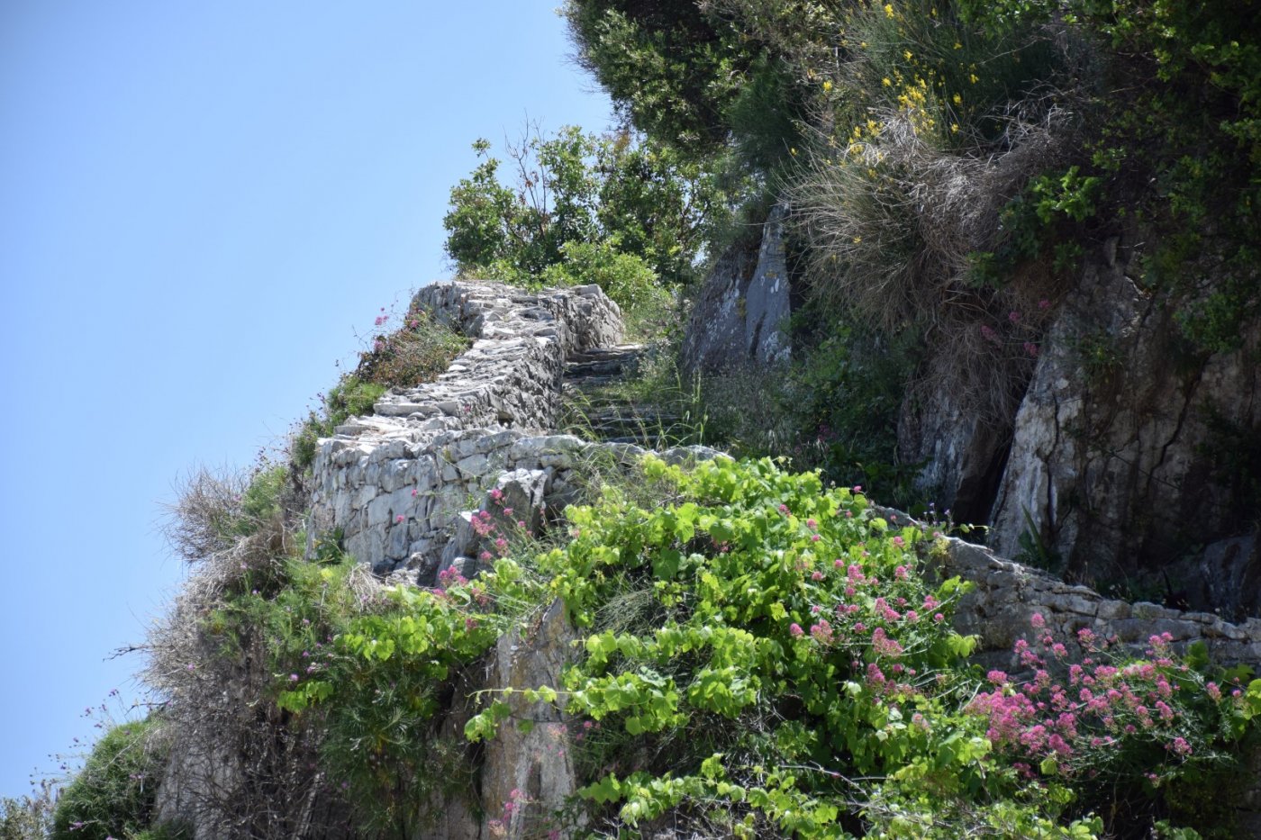 Pelion / 4day hiking excursion