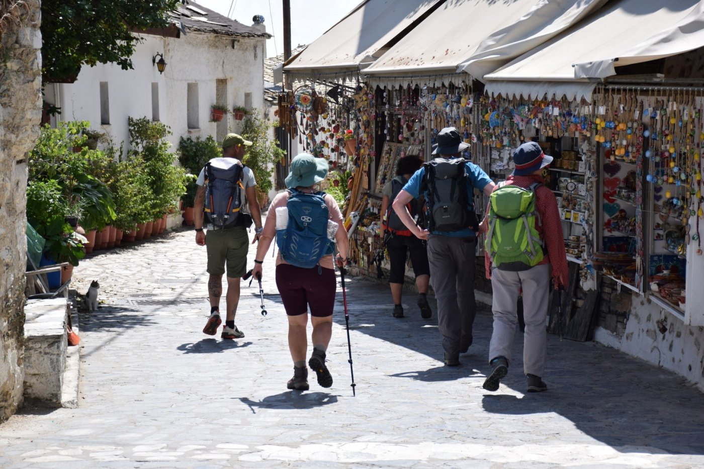 Pelion / 4day hiking excursion