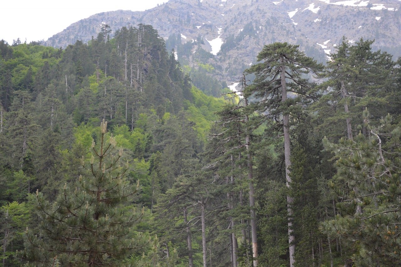 Exp-trek Ορειβασία, Πεζοπορία, Οργάνωση κατασκήνωσης