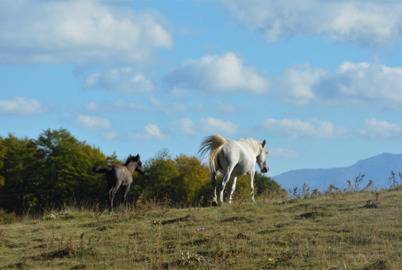 North Pindos