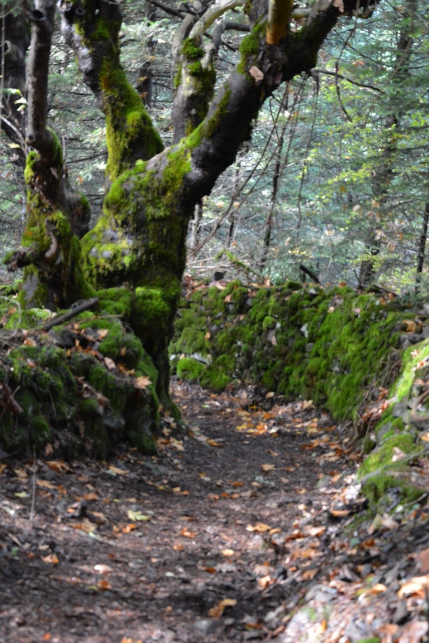 Exp-trek Ορειβασία, Πεζοπορία, Οργάνωση κατασκήνωσης, Διάσχιση ποταμών, Καταβάσεις φαραγγιών