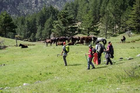 Exp-trek Ορειβασία, Πεζοπορία, Οργάνωση κατασκήνωσης, Διάσχιση ποταμών, Καταβάσεις φαραγγιών