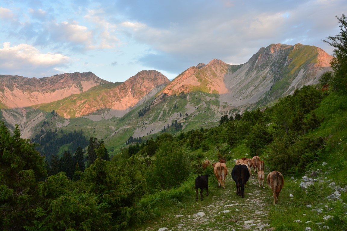 Exp-trek Mountaineering, Hiking, Camping, Canyoning