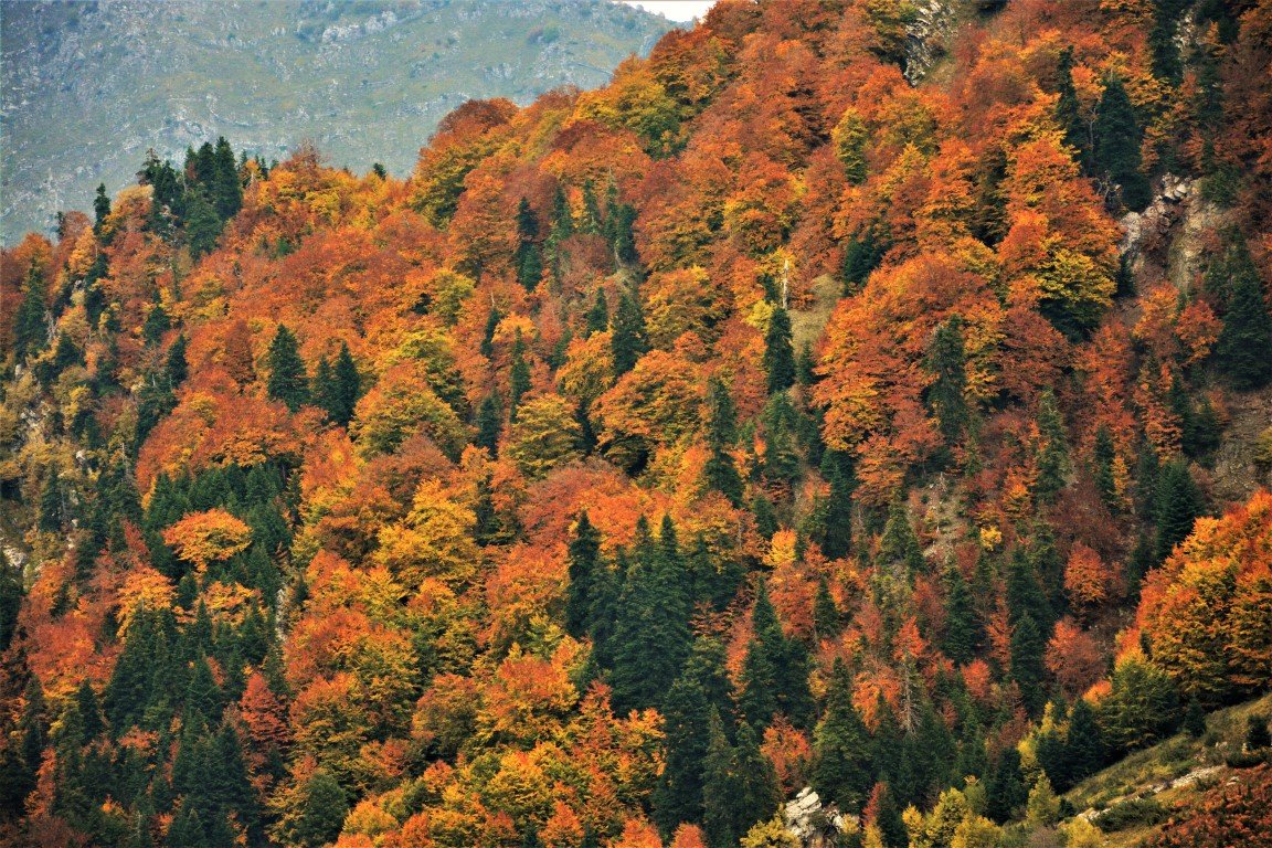 Tzoumerka, Agrafa / Central Pindos