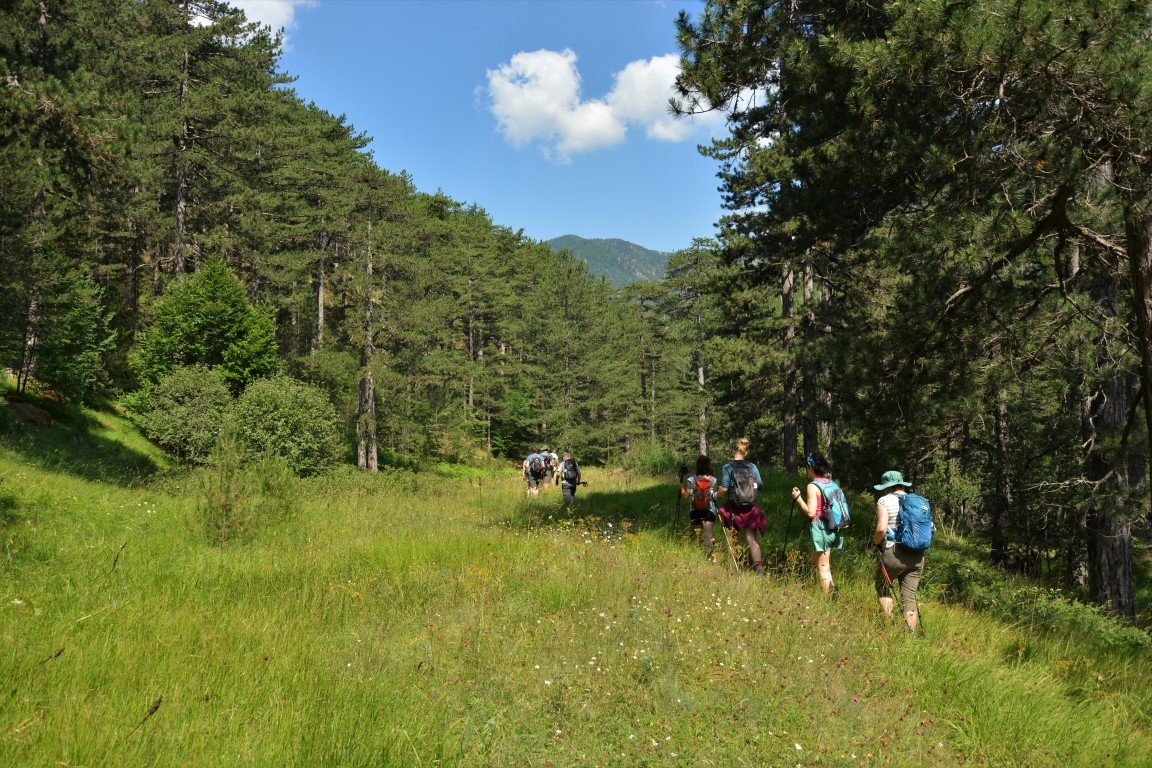 Exp-trek Ορειβασία, Πεζοπορία, Οργάνωση κατασκήνωσης 